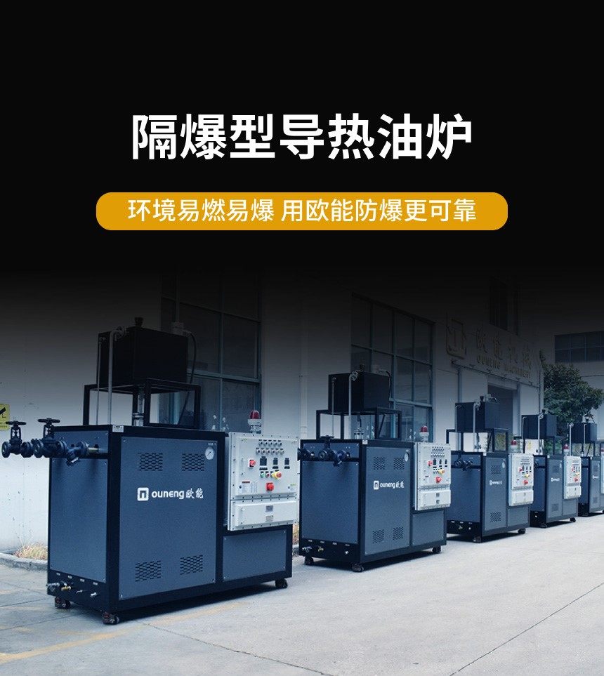 ExpxbⅡBT4Gb防爆导热油炉